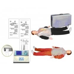 心肺復蘇模擬人